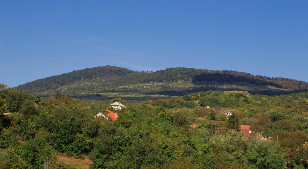 Hotel Istvan Kiraly Szallo Pécsvárad